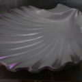 conch_11