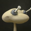 Kandoofrosch_8