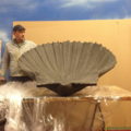 conch_6