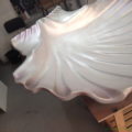 conch_7
