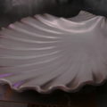 conch_8